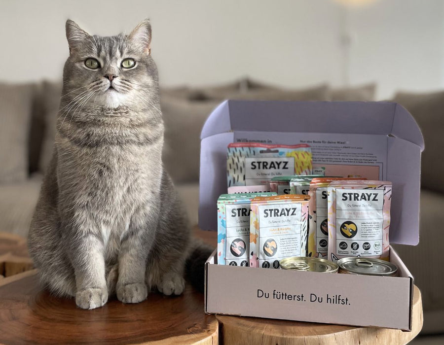 Probierpakete 🐈