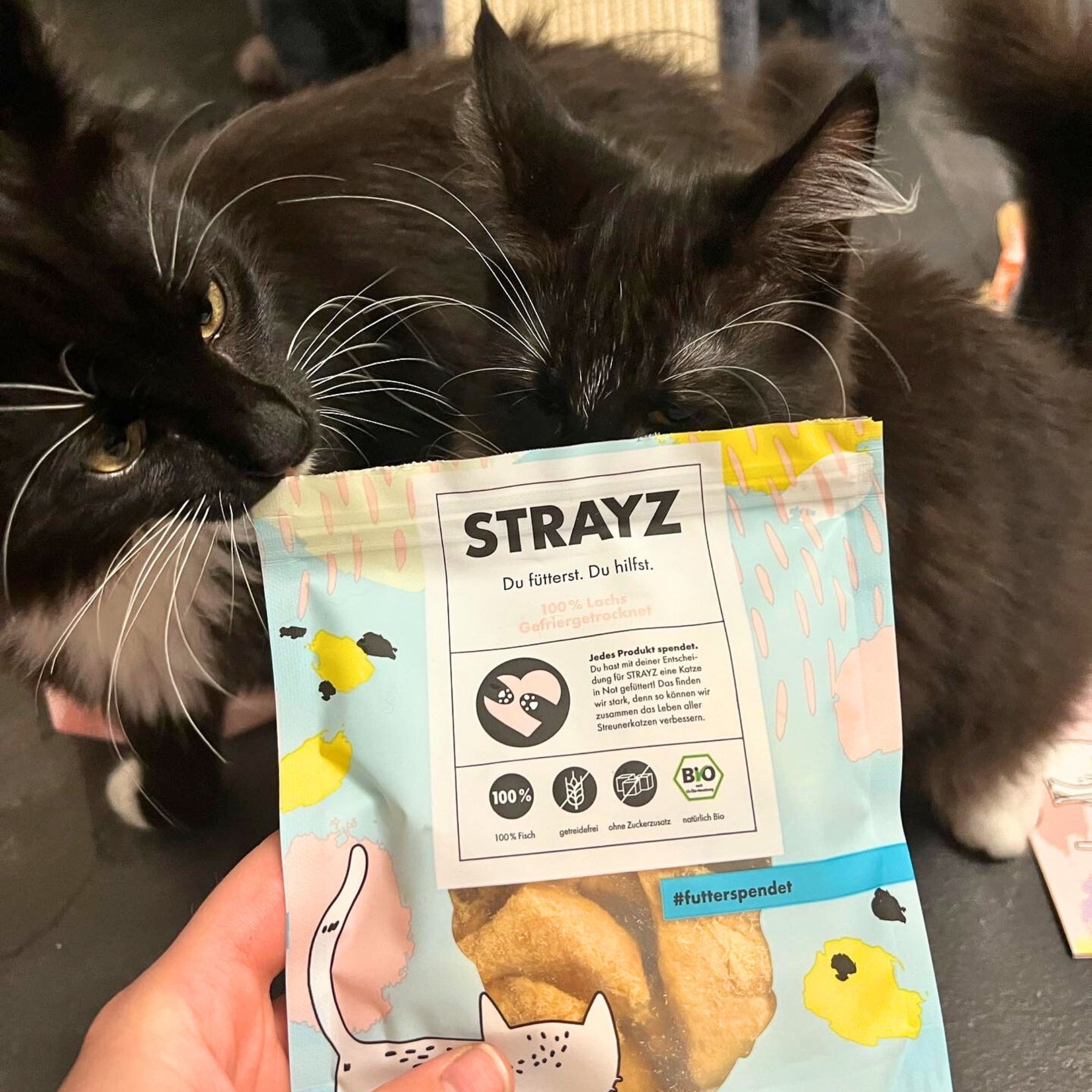 Der STRAYZ gefriergetrocknete Katzen Snack kommt richtig gut. Zwei schwarze Katzen schnuppern an der Verpackung. 