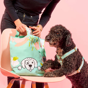 Unser Paket für echte Tierschutz Held:innen besteht aus einer hochwertigen Tasche aus Bio-Baumwolle, unserem Bio-Nassfutter für Hunde, leckeren Bio-Snacks für Hunde sowie einem Glitzersticker.