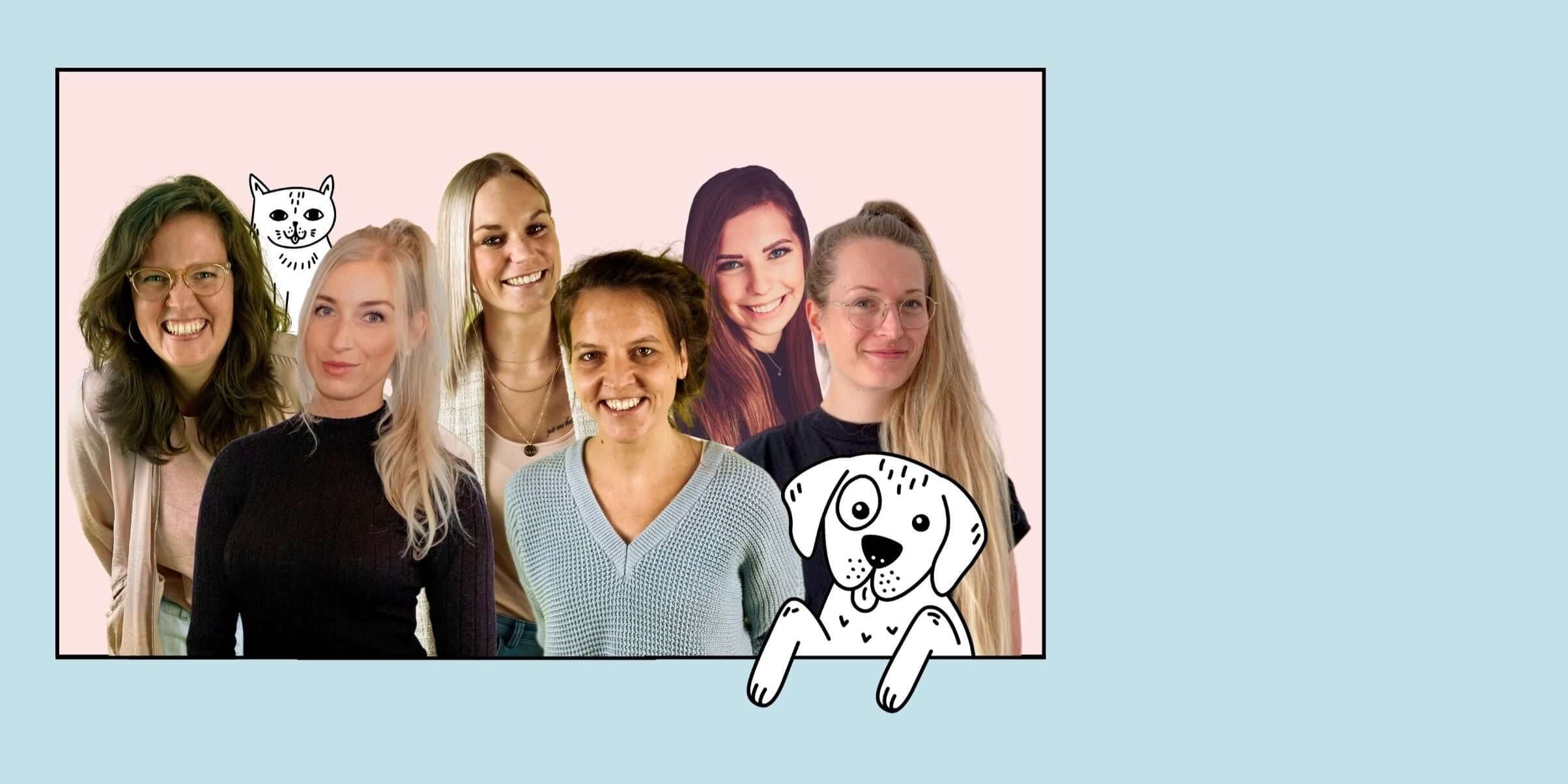 Das STRAYZ Team