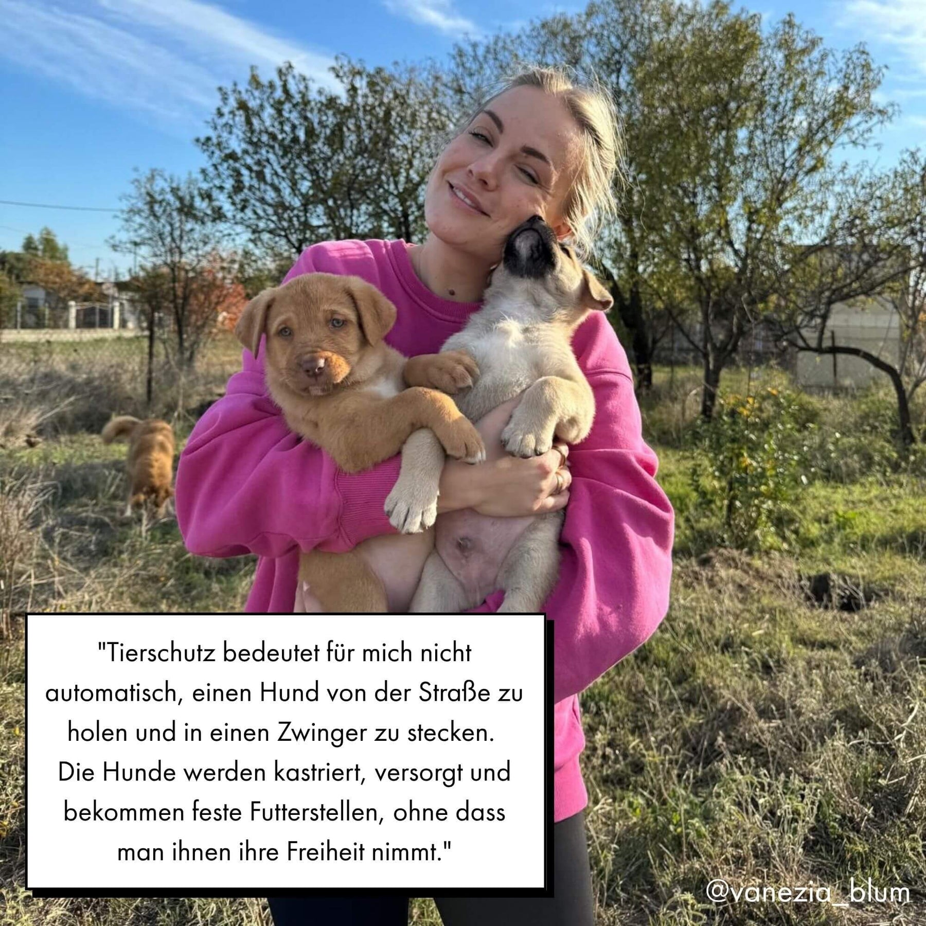 Vanezia hält zwei Welpen im Arm, dazu ihr Zitat: "Tierschutz bedeutet für mich nicht automatisch, einen Hund von der Straße zu holen und in einen Zwinger zu stecken. Die Hunde werden kastriert, versorgt und bekommen feste Futterstellen, ohne dass man ihnen ihre Freiheit nimmt."