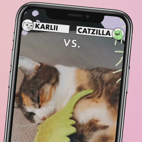 Video vom Kampf mit dem STRAYZ Katzenspielzeug Catzilla