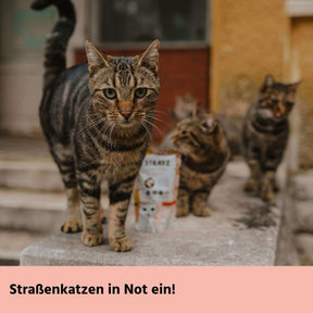 STRAYZ Gutschein