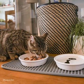 Katze frisst STRAYZ Bio Katzenfutter Ente & Süßkartoffel