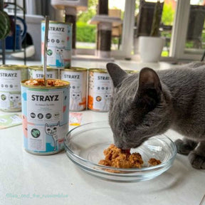 Katze frisst STRAYZ Bio Katzenfutter Lachs & Brokkoli