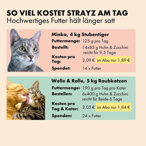 Soviel kostet STRAYZ am Tag